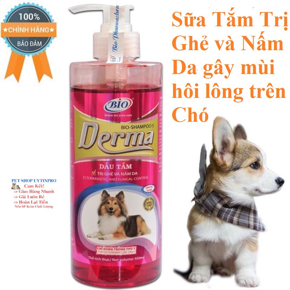 SỮA TẮM CHO CHÓ Bio Derma Trị Ghẻ và Nấm Da Gây Nên Triệu Chứng Hôi Lông Rụng Lông Chai 450ml Xuất xứ Việt Nam