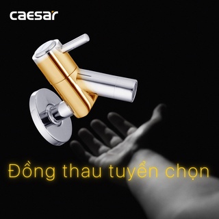 Vòi Lạnh Gắn Tường - W047C
