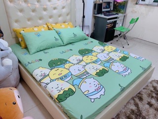 Bộ ga - gối cotton poly