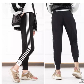 QUẦN JOGGER GIÓ THỂ THAO BO GẤU 3 SỌC