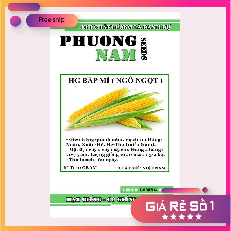 Freeshipxtra 10GR - HẠT GIỐNG BẮP MĨ - NGÔ NGỌT