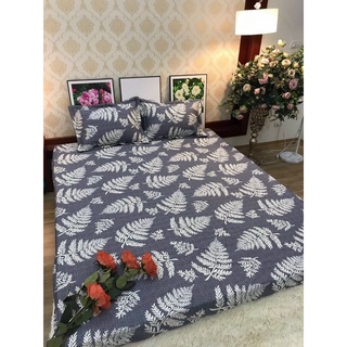 Bộ ga gối bo chun cotton