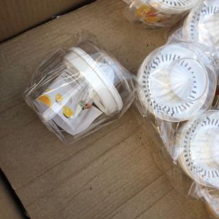 Vắt Cam Việt Nhật