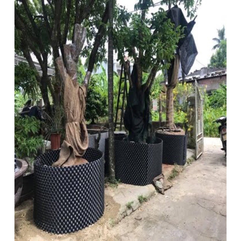 (Cao 20cm, bán theo mét tới) Bầu ươm cây 20cm nhập khẩu (kèm sẵn ốc vít)