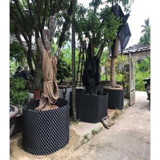 Bầu ươm cây V6 Vietgrow tiện dụng (kèm sẵn ốc vít)