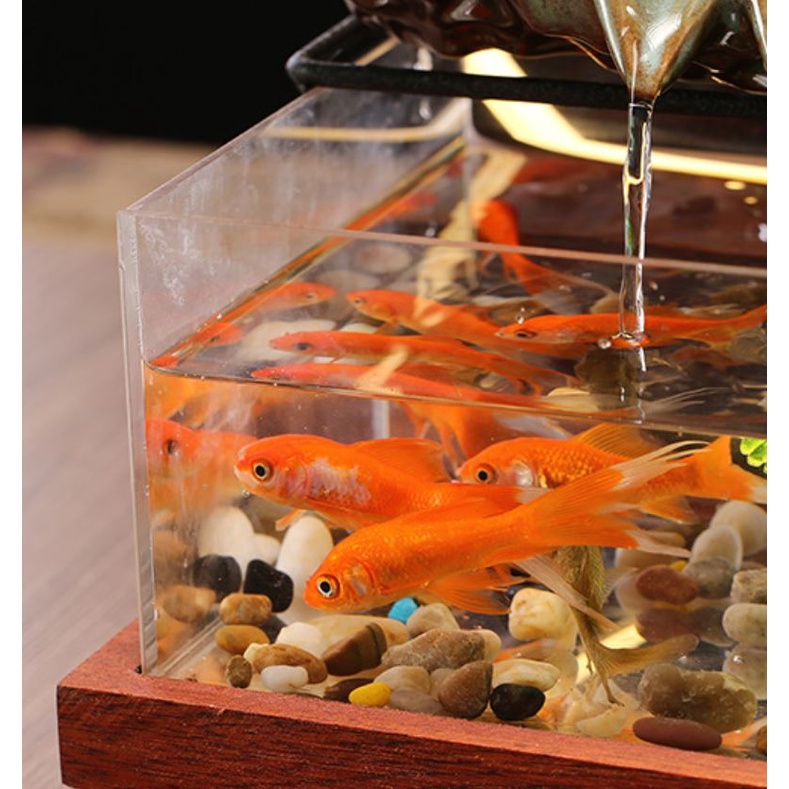 thác nước phong thủy kết hợp bể cả. bể cá tiểu cảnh phong thủy cao cấp