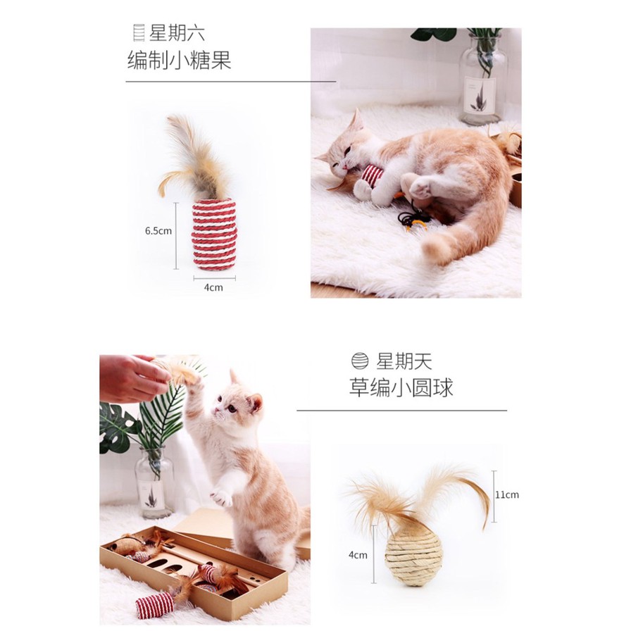 [KHÔNG KÈM HỘP] Bộ Cần Câu Cho Mèo 7 Món Khác Nhau Dùng Để Thay Đổi