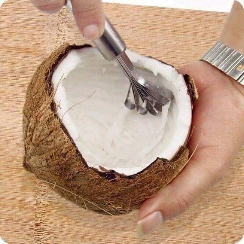 Nạo dừa, đánh vảy cá đa năng cán inox siêu tiện dụng