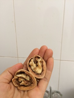 Óc chó sapa
