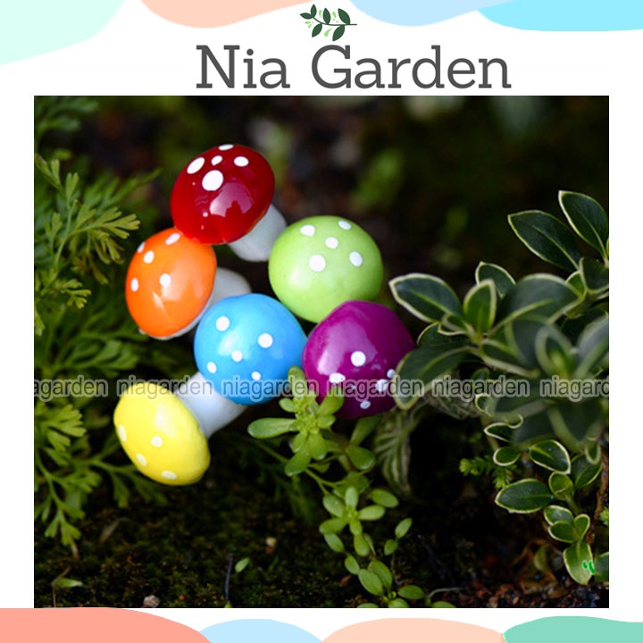 Phụ kiện nấm xốp nhiều màu trang trí terrarium chậu cây cảnh bể cá vườn mini Nia Garden N5