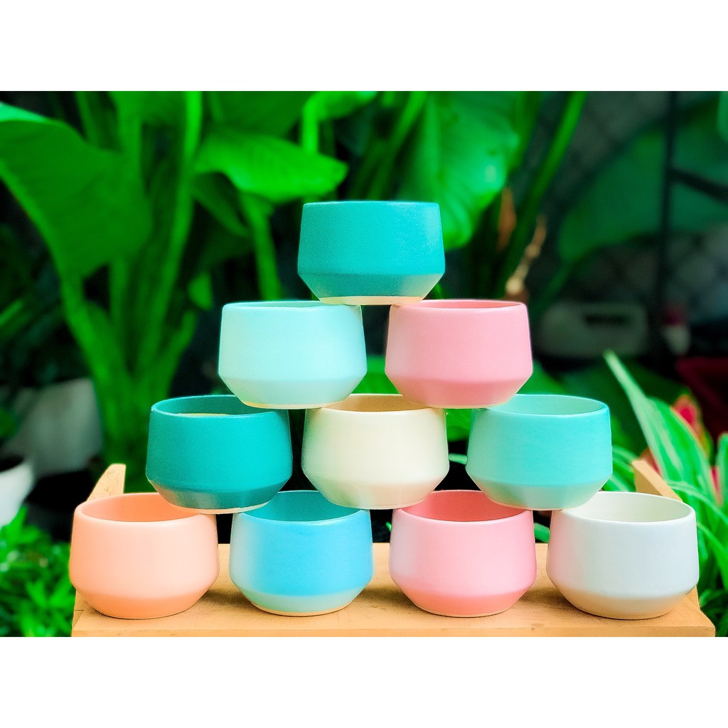 CHẬU SỨ, CHẬU CÂY CAO CẤP TRỒNG SEN ĐÁ, XƯƠNG RỒNG, CẮM HOA TRANG TRÍ
