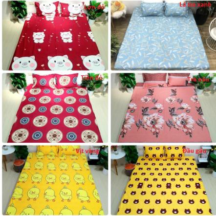 Xả hàng tết Bộ ga gối 2m2 cotton poly ava 2M223