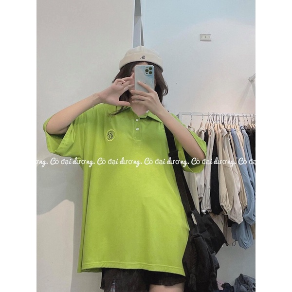 áo polo thêu gấu SALE