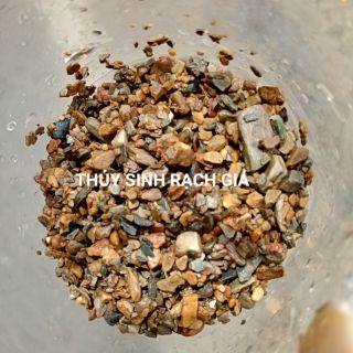 Sạn suối thủy sinh