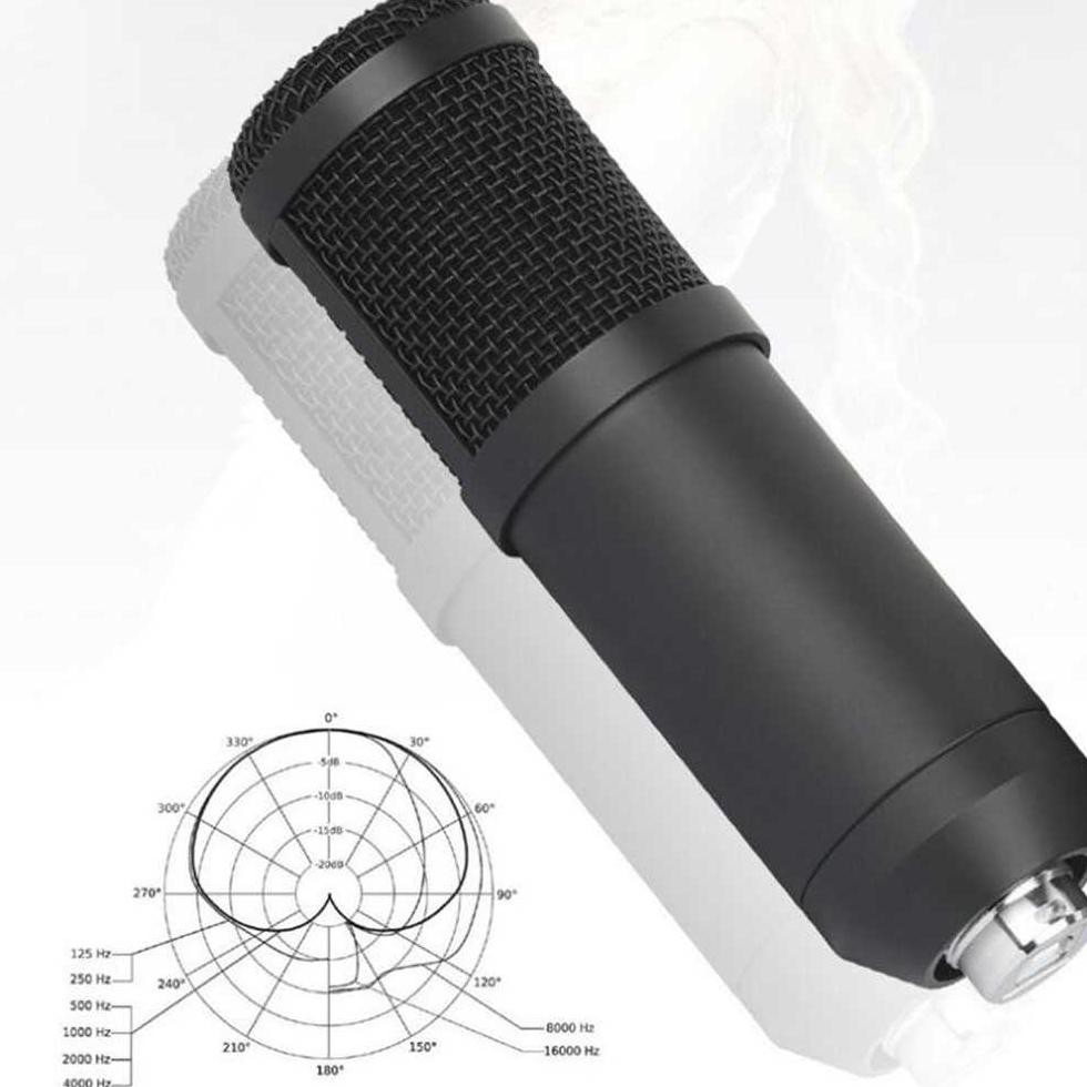 Micro Hát Karaoke Szkoston Bm-800 Jkm