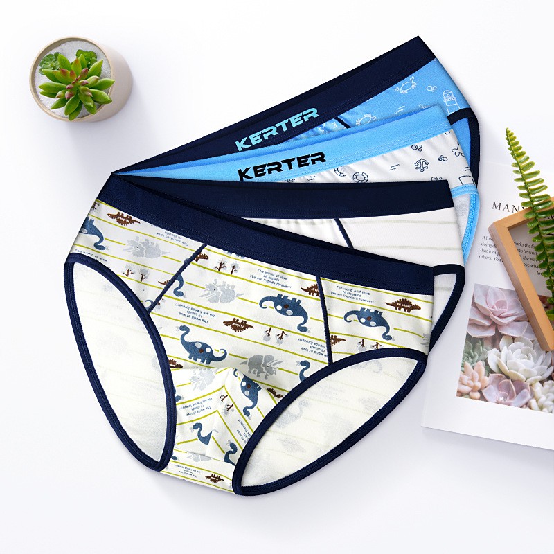 Set 2 Quần Lót Boxer Cotton Cho Bé Trai
