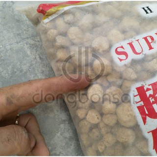 Phân nền Akadama /Đất Akadama Ryusen Nhật Bản ( Bao 14 lít)