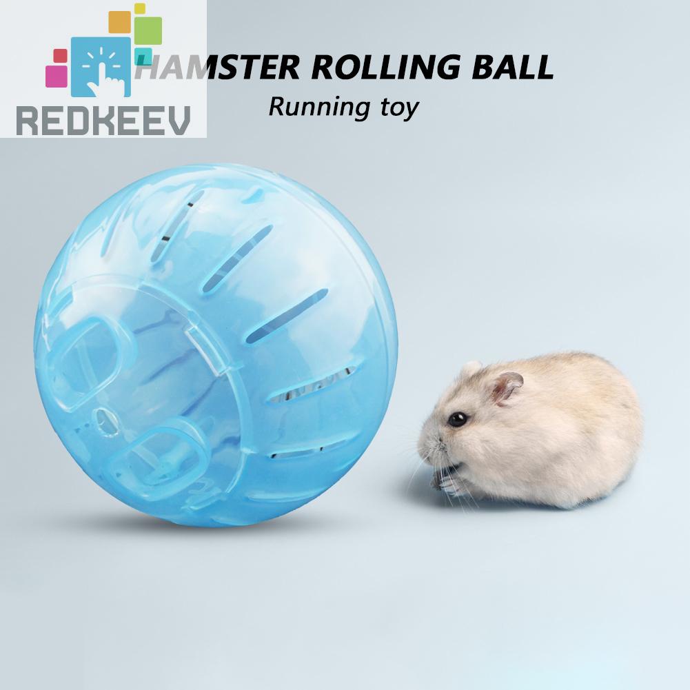 Bóng lăn nhựa 12cm dùng chạy vận động dành cho chuột hamster