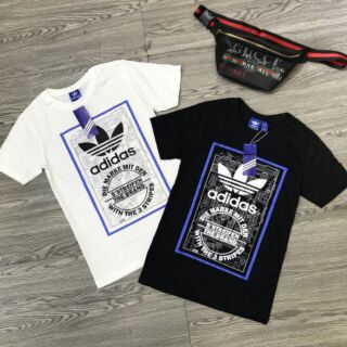Combo 3 bộ của lê