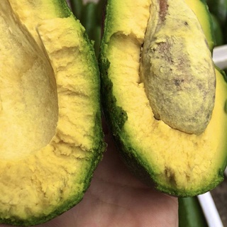 Bơ sáp đắk lắk #105k / 7kg