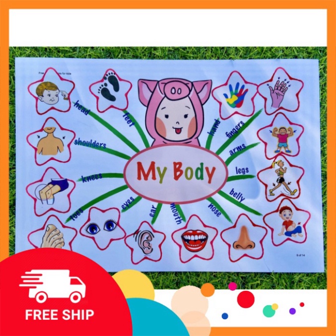 Sơ đồ trí tuệ Tiếng Anh cho bé trình diễn - Mind Map tiếng Anh cho bé diễn giải 11 chủ đề