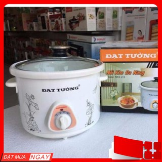 Nồi Kho Cá Điện Đạt Tường – Nồi Hầm Cháo Chậm Đa Năng Chính Hãng Giữ Nhiệt Cực Tốt