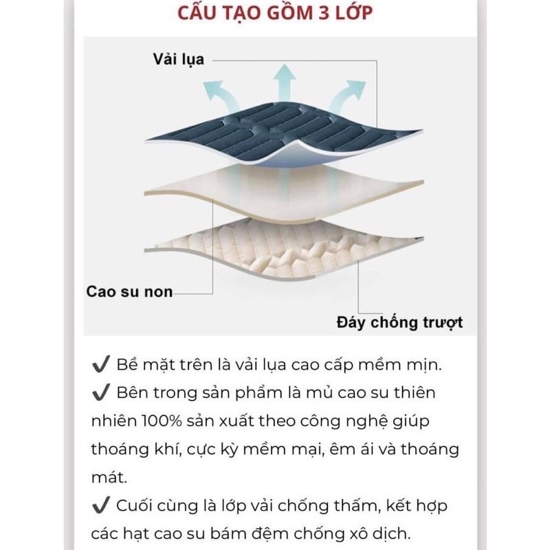 [LOẠI 1] Chiếu Điều Hoà Mủ Cao Su Non 3D Tencel Latex Mát Mềm Mịn Nhập Khẩu Giá Rẻ