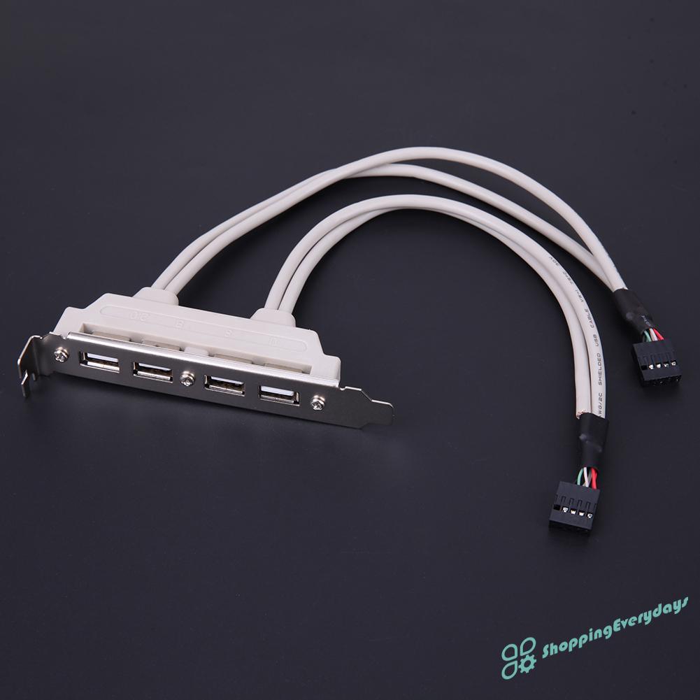 Dây Cáp Chuyển Đổi Cổng Usb 2.0 Sang Cổng Bo Mạch Chủ 9pin 4 Cổng | BigBuy360 - bigbuy360.vn