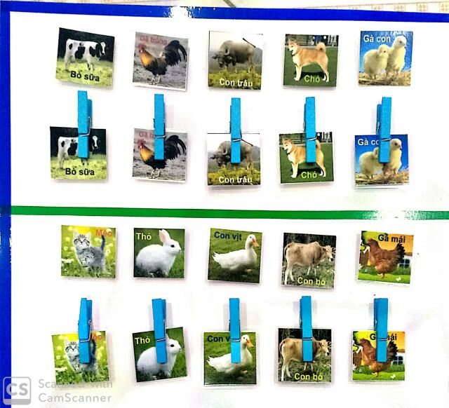 Bảng kết hợp | BigBuy360 - bigbuy360.vn