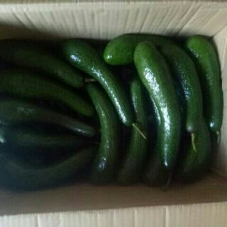 Bơ 034 nhà vườn loại ngon nhất (1kg)