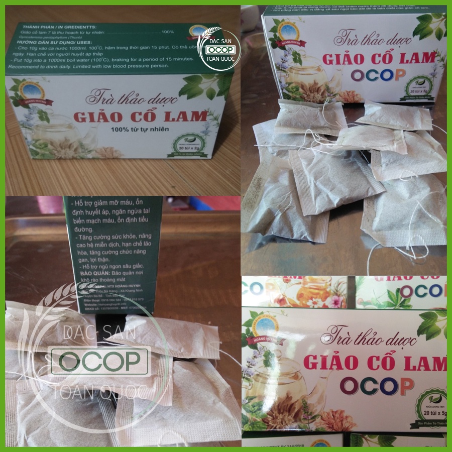 Trà Giảo cổ lam túi lọc | Giảo cổ lam Bắc Kạn | Hộp 100g | Đặc sản OCOP