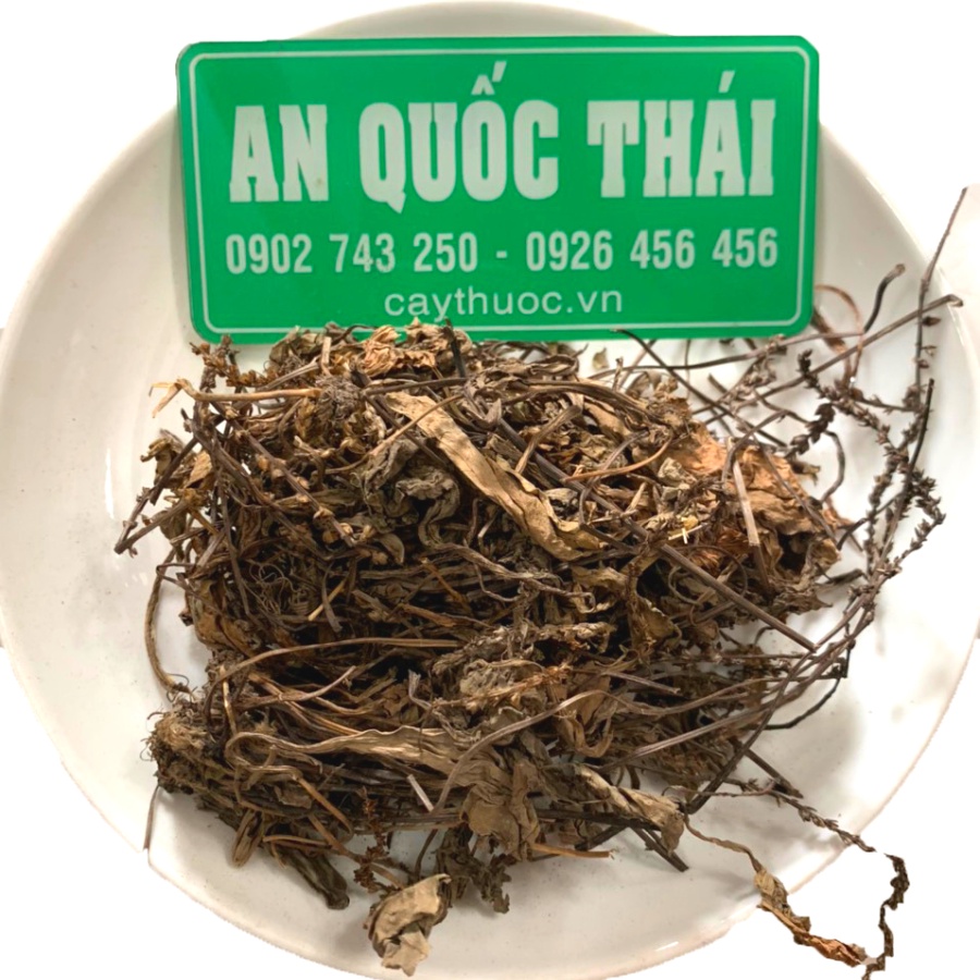 1Kg Cây Mã Đề  Nấu Nước Mát Thanh Nhiệt, Lợi Tiểu, Đánh Bay Sỏi Thận | Thảo dược An Quốc Thái