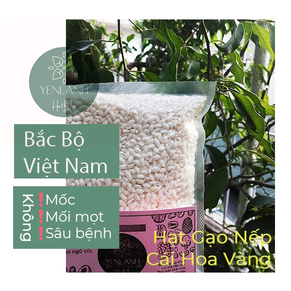 Gạo Nếp Cái Hóa Vàng Bắc Bộ 250gr-500gr-1kg Yenlanhnatural