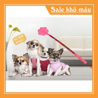 [FLASH SALE]  ROI TÉT ĐÍT THÚ CƯNG