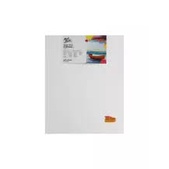 Vải Toan Vẽ Mont Marte vẽ màu acrylic, sơn dầu Úc Signature Single Thick Canvas sơn lót 3 lớp (Nhiều Size)