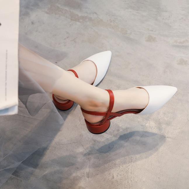 |  Sales T8 | HOT SALE Giày cao gót tròn 3cm R029 phối màu thiết kế Đẹp Xịn . 2020 new nn