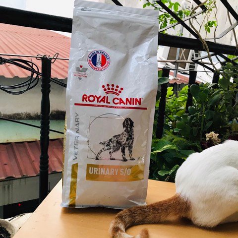 [HỖ TRỢ ĐIỀU TRỊ SỎI THẬN] Thức ăn cho chó Royal Canin Urinary S/O