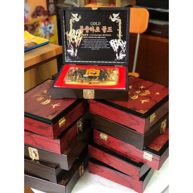 (Quà tặng) Đông Trùng Hạ Thảo cao cấp nguyên con | BigBuy360 - bigbuy360.vn