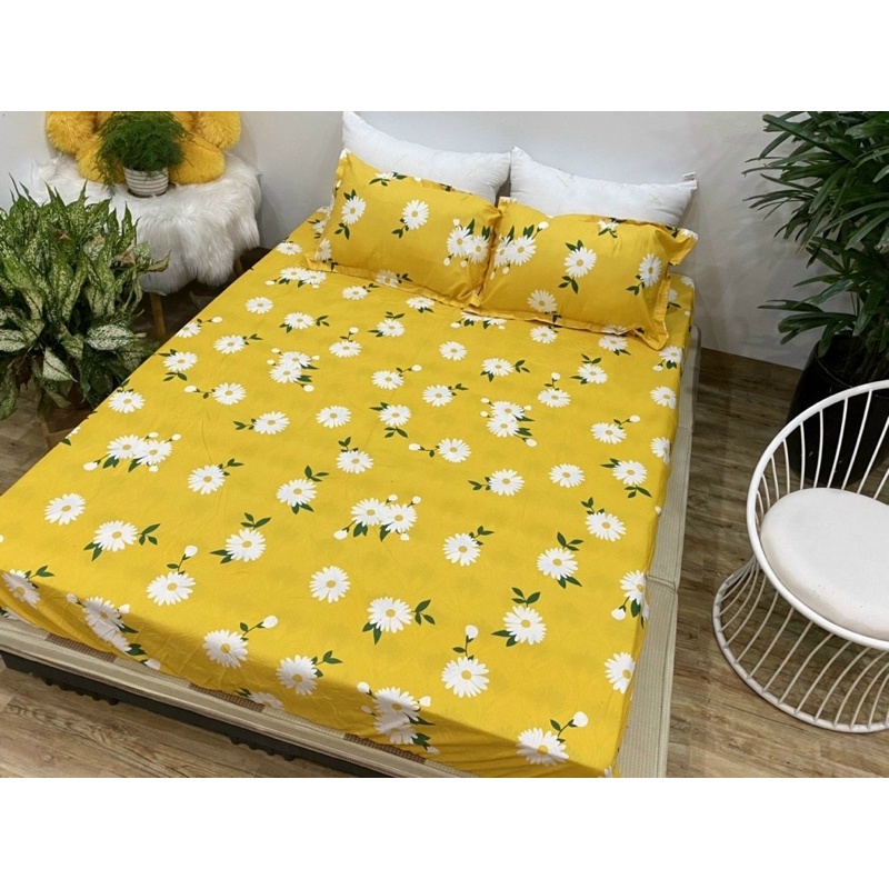 Bộ ga gối ôm cotton poly bo chun chắc chắn loại 1 cao cấp