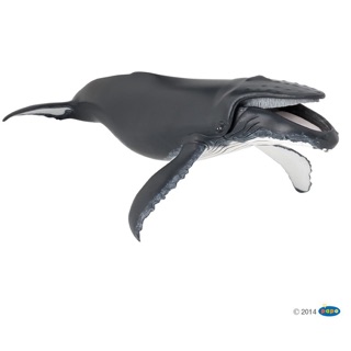 Mô hình động vật , đồ chơi con vật Papo chính hãng Cá voi lưng gù 56001 có khớp miệng - Schleich House