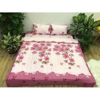 Set 5 chăn hè ga gối Tặng vỏ gối ôm đào hồng đủ kích thước