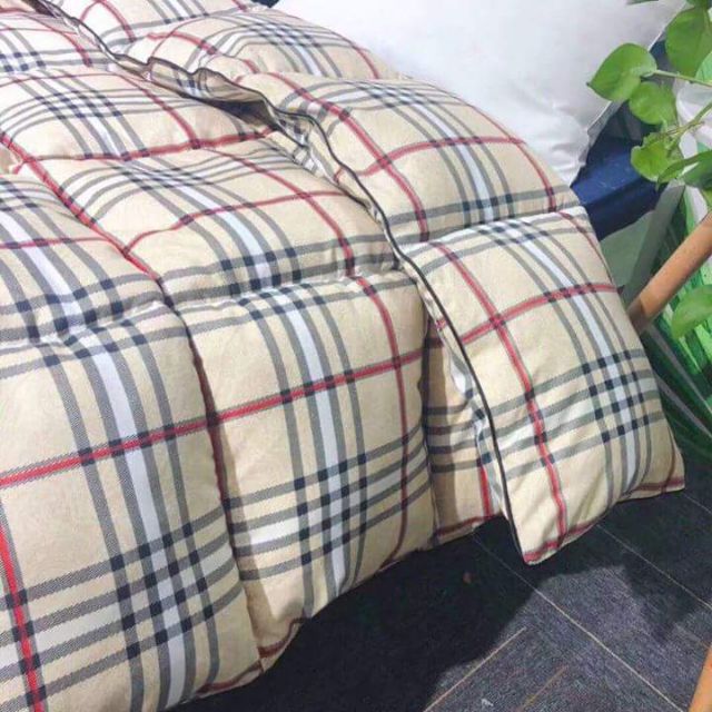 Chăn lông vũ bbr