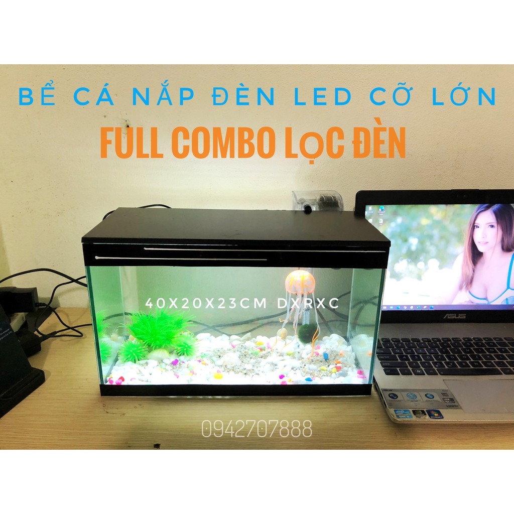 Set bể cá cảnh nắp led cỡ lớn 40cm và 8 món (Bể cá , nắp đèn, lọc , sỏi màu , vỏ sò biển, cây, sứa silicon, thức ăn cá)