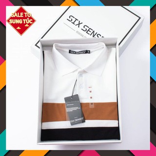 Áo thun polo nam cổ bẻ mã POLO phối màu 3M CAO CẤP - chất thun cá sấu cotton 100%