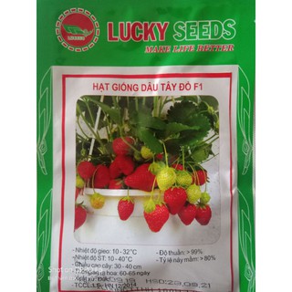 Hạt giống dâu tây chùm đỏ F1 (100 hạt)