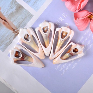 Mặt ốc hỏa tiễn (5 miếng)