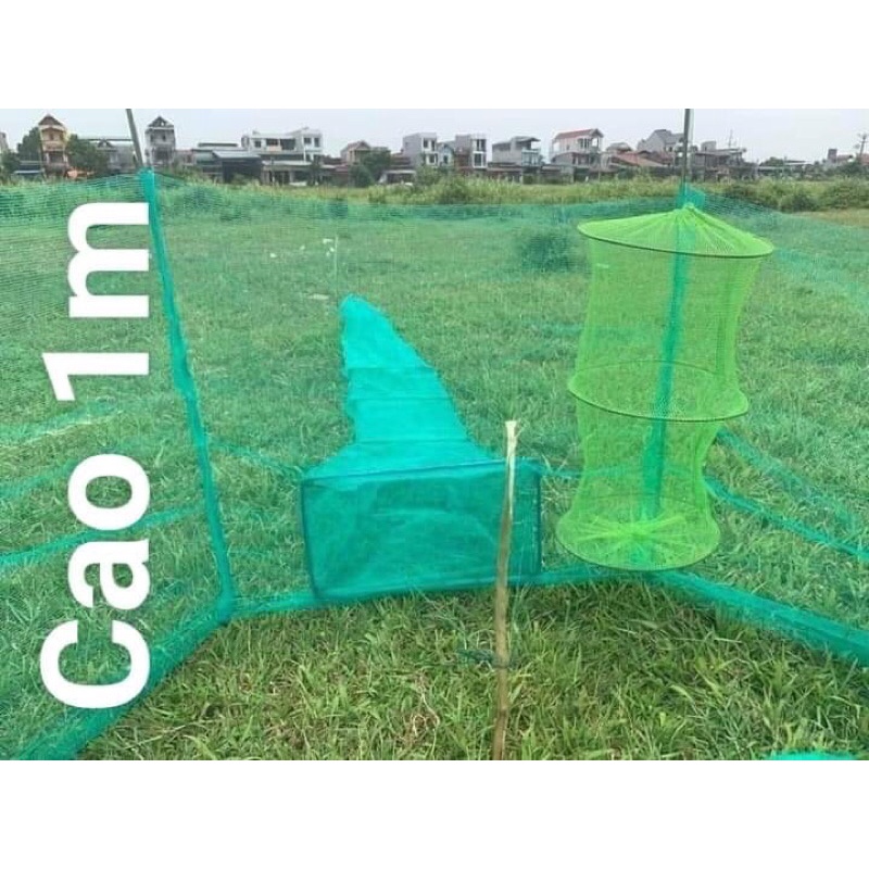 DỚN CHẶN SÔNG SUỐI