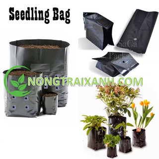 TÚI ƯƠM CÂY - TÚI TRỒNG CÂY HÀNG ĐẸP GIÁ RẺ TIỆN LỢI