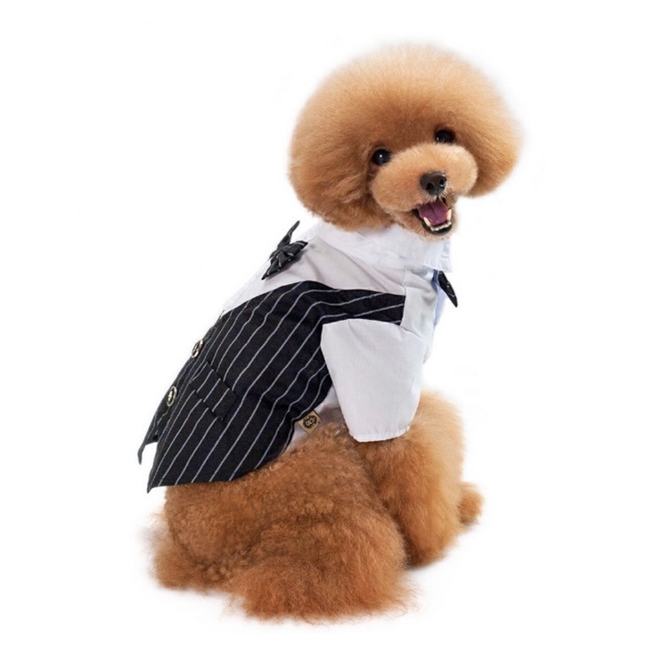 ÁO VEST SƠMI CAO CẤP CHO CHÓ MÈO THÚ CƯNG ĐI CHƠI