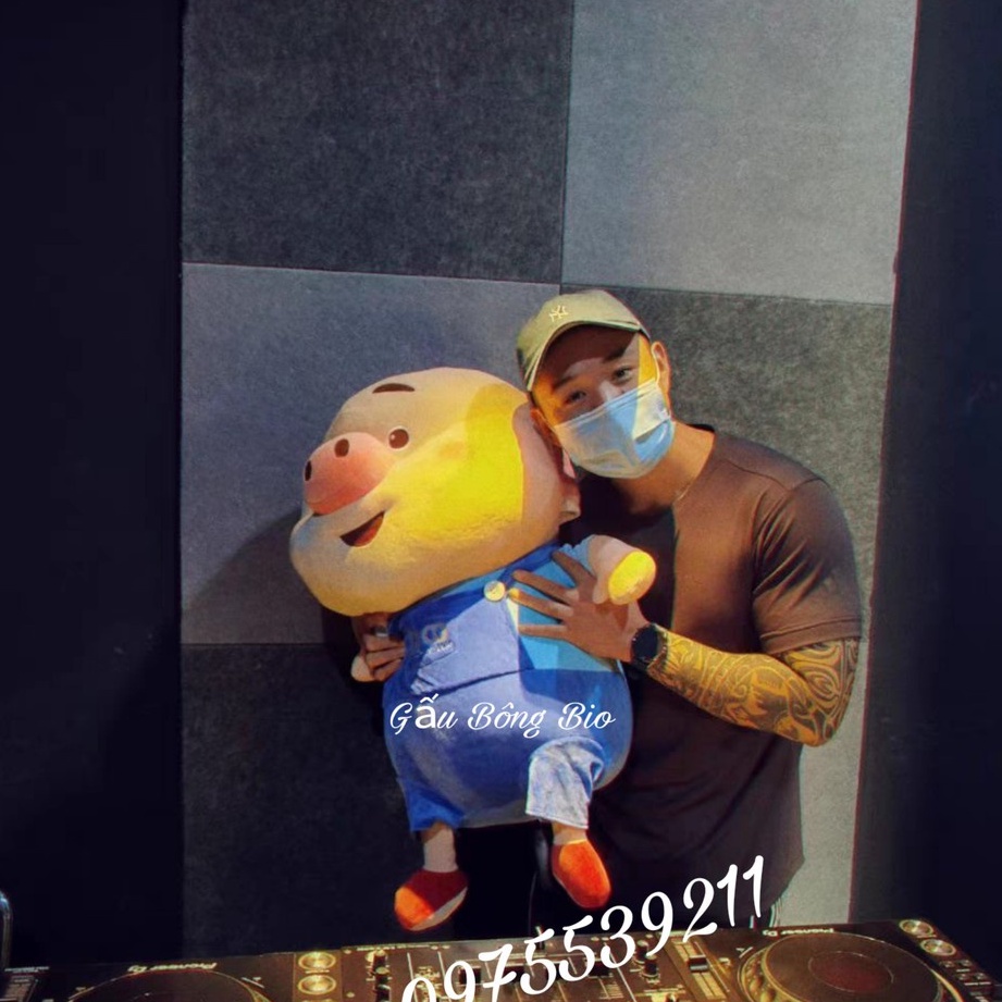 Gấu Bông Heo Lợn , Thú Nhồi Bông Cute Cho Bé To Dễ Thương Mini Nhỏ Gối Ôm Nhiều Size Chất Liệu Mềm Mịn